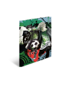 HERMA Sammelmappe · A3 · Karton · Street Soccer