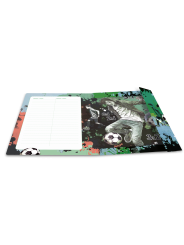 HERMA Sammelmappe · A3 · Karton · Street Soccer