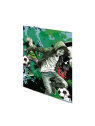 HERMA Sammelmappe · A3 · Karton · Street Soccer
