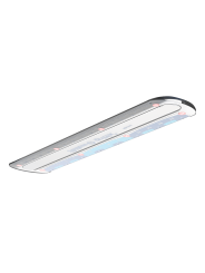 Pelikan Lineal combino · kurz · 15 cm · Links-/Rechtshänder