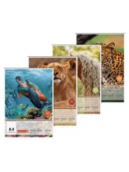 BRUNNEN 1 Zeichenblock DIN A4 · kopfverleimt · 120 g/m² · 20 Blatt - Motiv zufällig