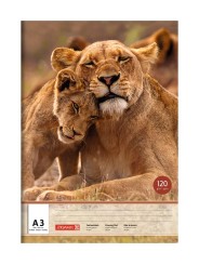 BRUNNEN · Zeichenblock DIN A3 · einseitig verleimt · 120 g/m² · 20 Blatt - Motiv zufällig