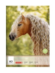 BRUNNEN · Zeichenblock DIN A3 · einseitig verleimt · 120 g/m² · 20 Blatt - Motiv zufällig