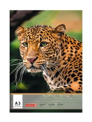 BRUNNEN · Zeichenblock DIN A3 · einseitig verleimt · 120 g/m² · 20 Blatt - Motiv zufällig