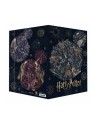 RNK Sammelmappe · A3 · Karton · Harry Potter