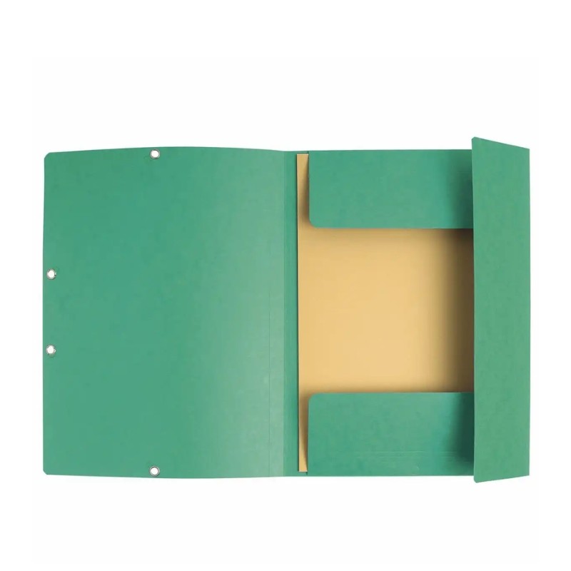 exaclair Sammelmappe Colorspan · mit Gummizug · DIN A4 · grün