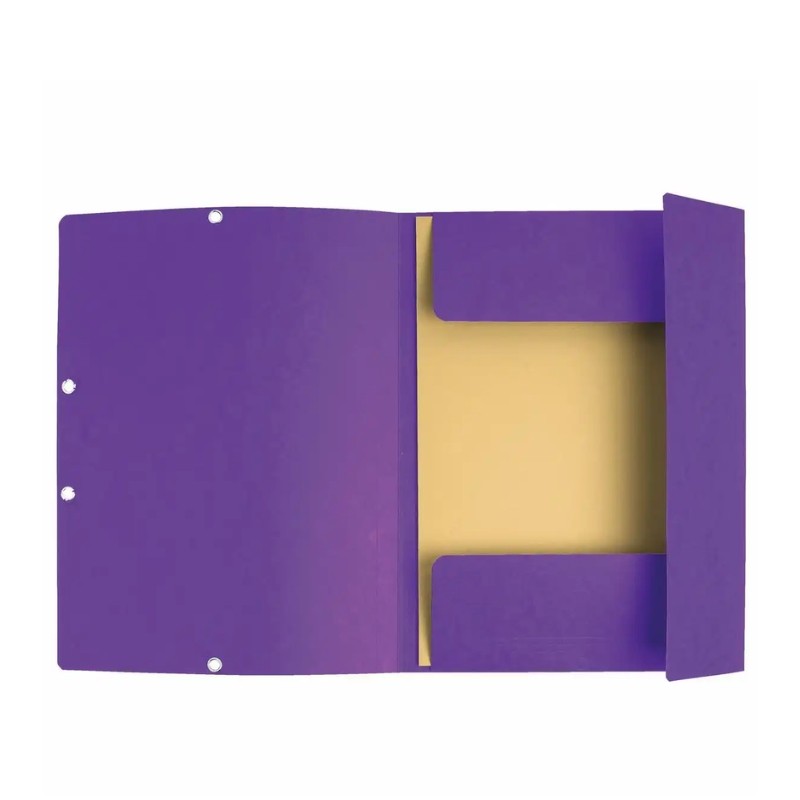 exaclair Sammelmappe Colorspan · mit Gummizug · DIN A4 · lila